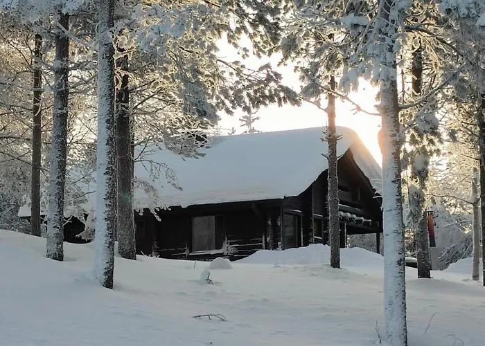 Hietavilla Plaek- Hot Tube - Sauna - Fireplace - 11kw Ev-refuel - Landscape View - Silence - Free Wifi