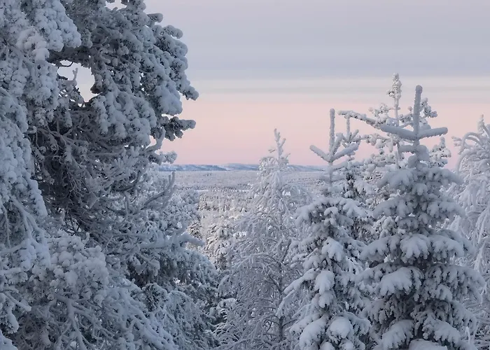 Villa Hietavilla Plaek- Hot Tube - Sauna - Fireplace - 11kw Ev-refuel - Landscape View - Silence - Free Wifi *